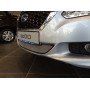 Защита радиатора для Datsun On Do 2014-2019 дорестайл | Стандарт
