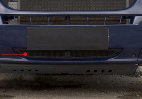 Защитная сетка решетки переднего бампера Peugeot Boxer 2006+ (250 кузов) | шагрень