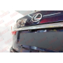 Защита задней камеры LEXUS RX 4 350 2015-2019