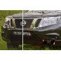 Защитная сетка решетки радиатора Nissan Terrano (2014-2020) | шагрень