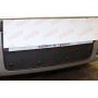 Защита радиатора для Skoda Octavia A4 2000-2011 рестайлинг | Стандарт