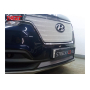 Защита радиатора для Hyundai H1 (2018-2022) рестайл | Стандарт