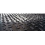 Коврик в багажник Belgee X50 | Seintex
