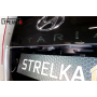 Защита задней камеры Hyundai Staria 2022+