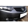 Защита радиатора для Honda Accord 8 (2008-2010) дорестайл | Стандарт