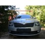 Защита радиатора для Skoda Superb (2014-2015) рестайл | Премиум