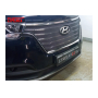 Защита радиатора для Hyundai H1 (2018-2022) рестайл | Стандарт