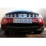 Защита радиатора для Nissan Murano 1 Z50 2002-2008 | Стандарт