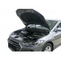 Упоры капота для Hyundai Elantra VI 2016-2018 | 2 штуки, АвтоУПОР