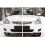Защитная сетка решетки переднего бампера Lada Приора 2014+ (седан,универсал,хэтчбэк) | шагрень
