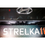 Защита задней камеры Hyundai Staria 2022+