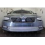 Защита радиатора для Skoda Superb (B8) 2015+ | Премиум