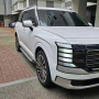 Пороги OEM для Hyundai Palisade 2 (LX3) 2025+