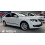 Боковые молдинги на двери для Skoda Octavia (A7) 2013+/2017+ (лифтбек, универсал) | Rider F-35