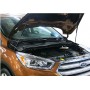 Упоры капота для Ford Kuga II рестайлинг 2016-н.в. | 2 штуки, АвтоУПОР
