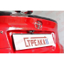 Защита задней камеры TOYOTA C-HR 2019-2024 (рестайлинг)