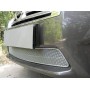 Защита радиатора для Nissan Teana 3 (L33) 2013+ | Премиум