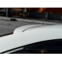 Козырек на заднее стекло для Skoda Octavia A7 2013+/2017+