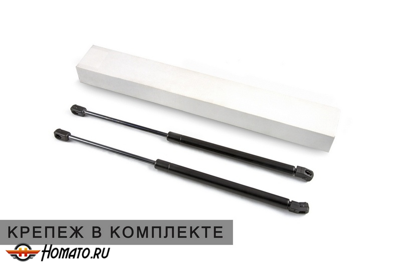 Упоры капота GAC GS4 2025+ | 2 амортизатора