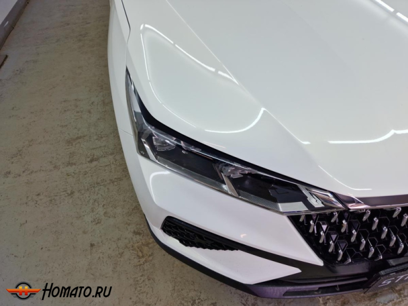 Накладки на фары для FAW Bestune T77 | 2 штуки, декор