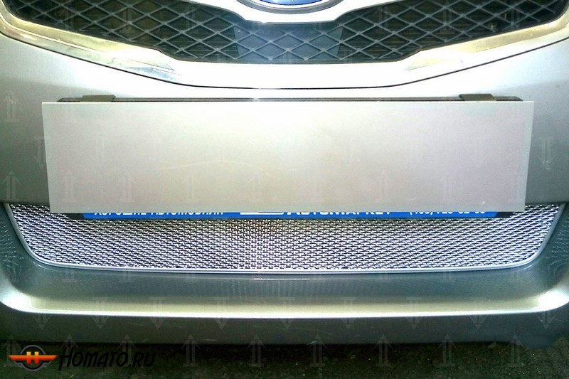 Защита радиатора для Subaru Legacy 5 (2009-2012) дорестайл | Премиум