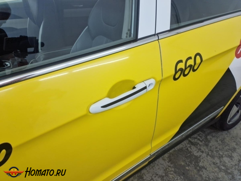 Накладки на ручки дверей для Evolute i-Pro | 4 штуки, декор