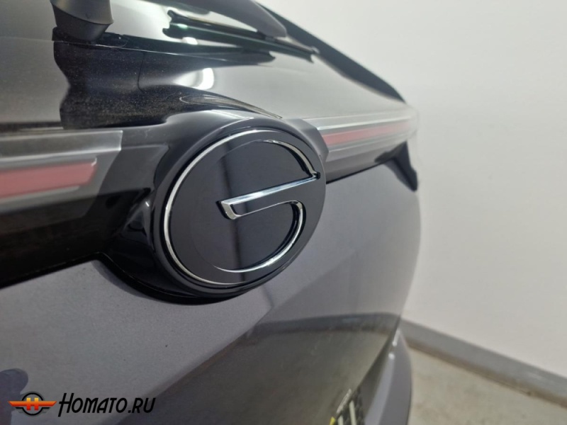 Накладки на логотип для GAC GS4 2025+ | 2 штуки, декор