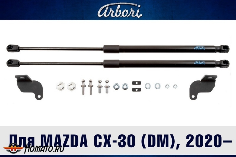 Упоры капота MAZDA CX-30 (DM) 2020- | 2 амортизатора