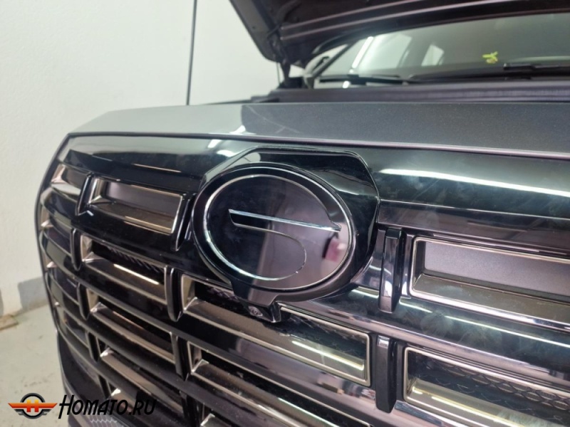 Накладки на логотип для GAC GS4 2025+ | 2 штуки, декор