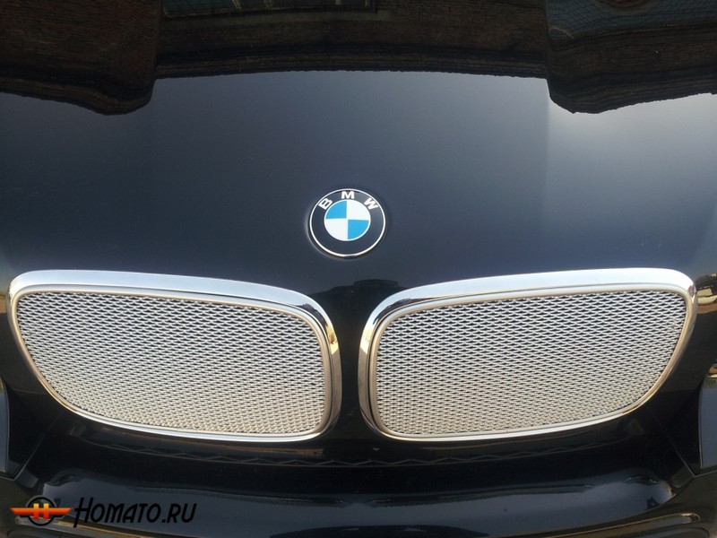 Защита радиатора для BMW X5 E70 (2006-2013) | Премиум