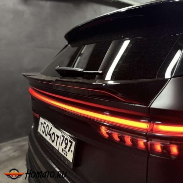 Спойлер для Geely Monjaro 2023+ | Character