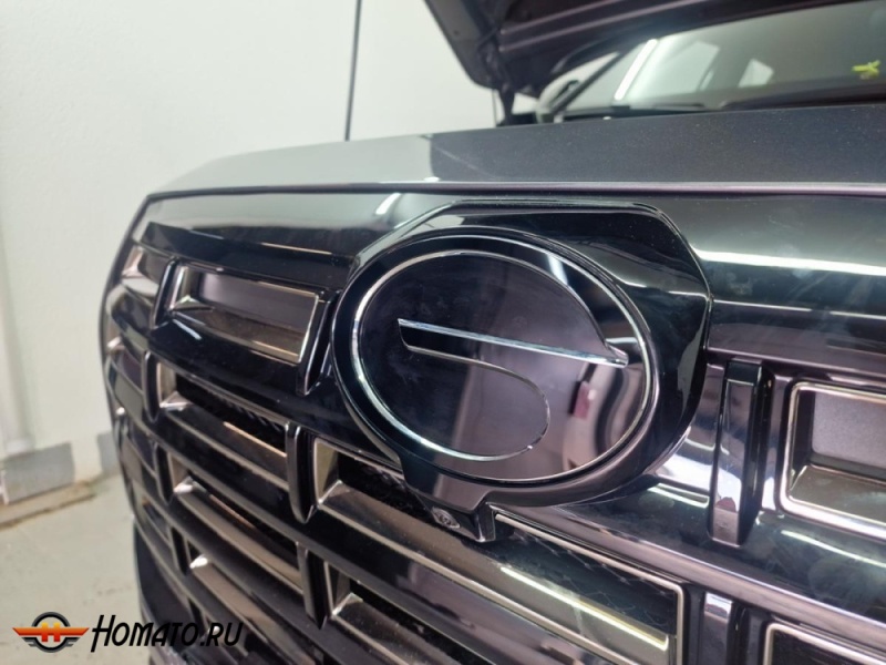 Накладки на логотип для GAC GS4 2025+ | 2 штуки, декор