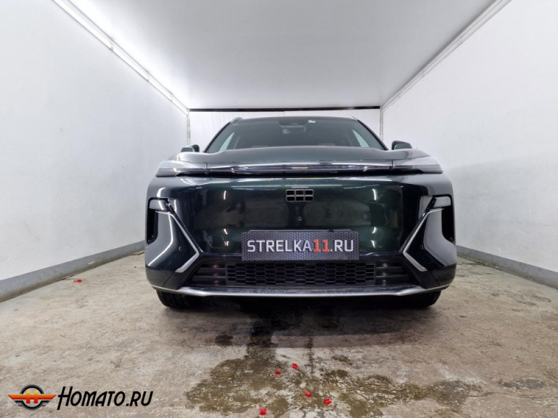 Накладки на передний логотип для Geely EX5 EM-i | декор