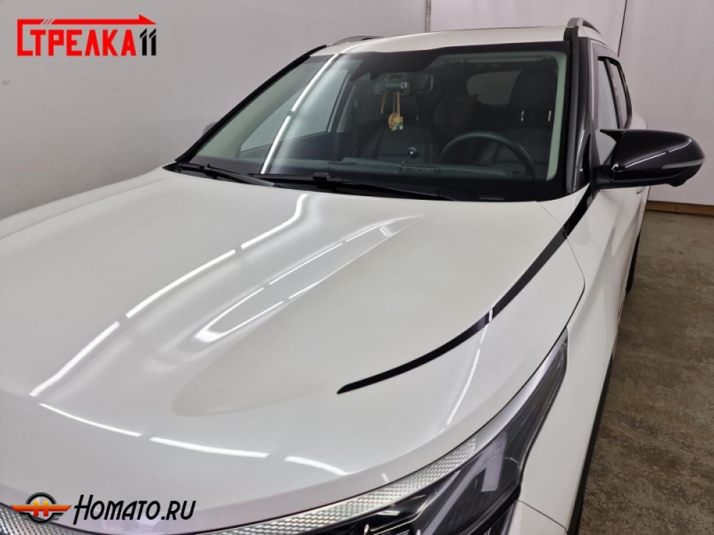 Накладки на капот для Kia Seltos 2020+ | 4 штуки, декор