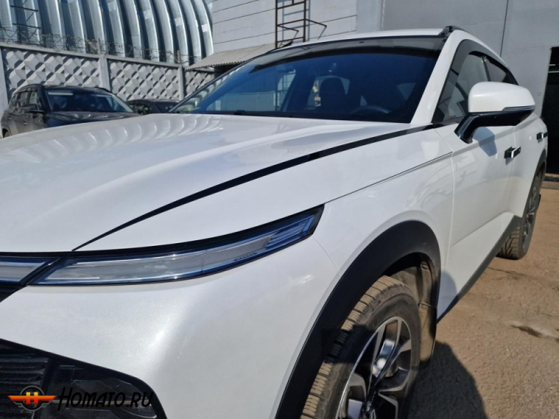 Накладки на капот для Хавал Ф7 2 2024+ | 2 штуки, декор