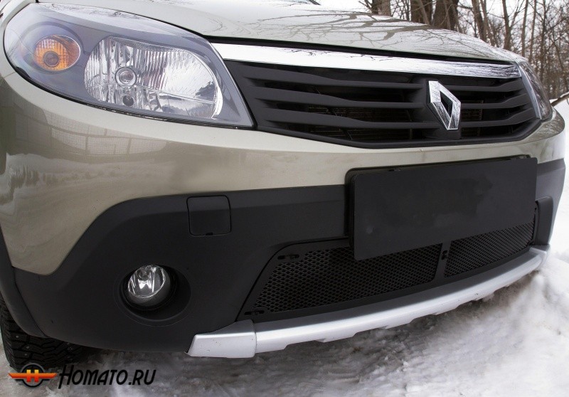 Защитная сетка переднего бампера Renault Sandero Stepway (2009-2013) | шагрень