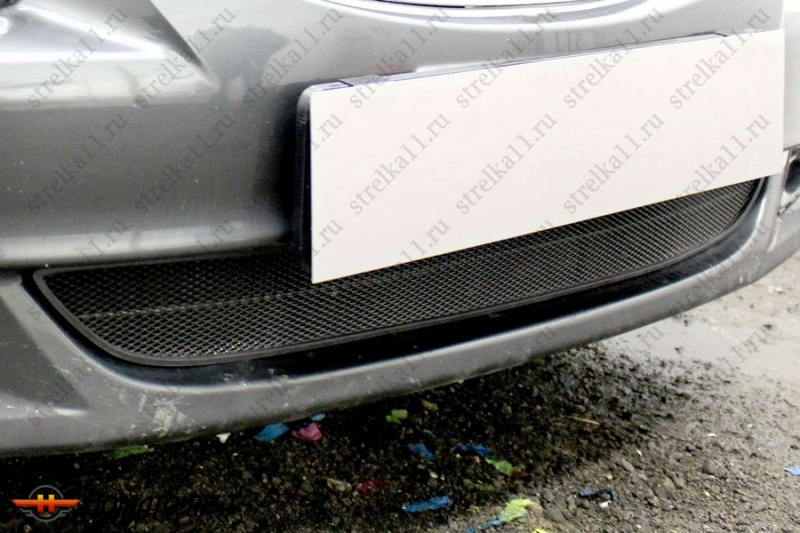 Защита радиатора для Hyundai Accent 2000-2012 Тагаз | Стандарт