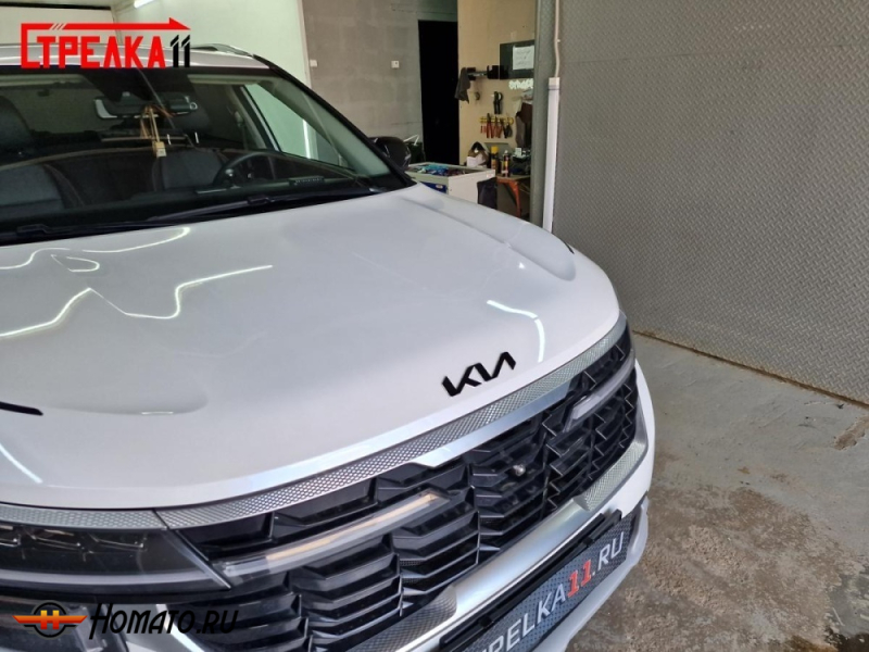 Накладки на логотип для Kia Seltos 2022+ | 2 штуки, декор
