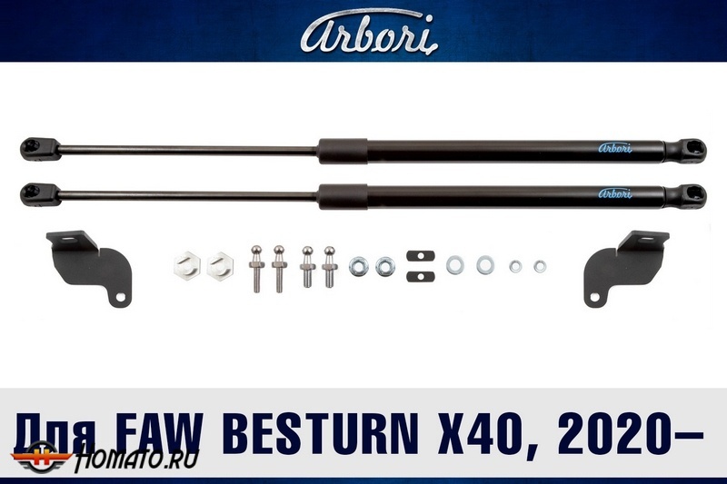 Упоры капота FAW Besturn X40 2020- | 2 амортизатора