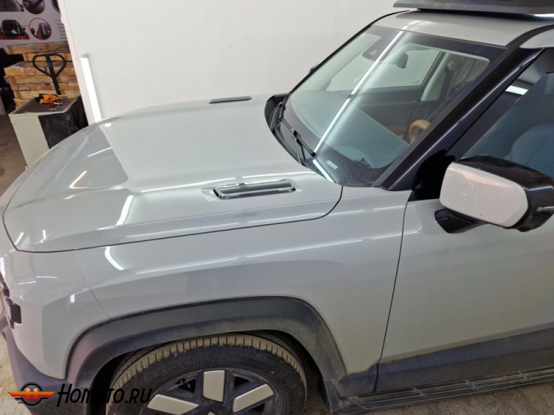 Накладки на капот для Deepal G318 | 2 штуки, декор