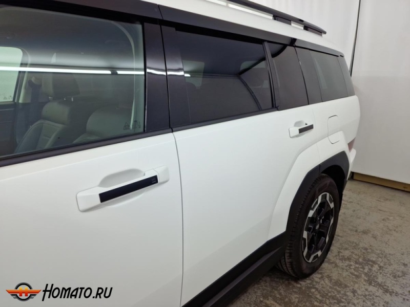 Накладки на ручки дверей для Hyundai Santa Fe 5 (MX5) 2024+ | 4 штуки, декор