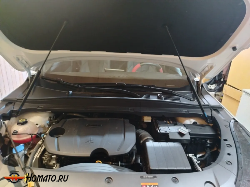 Упоры капота Джили Ситирей | 2 амортизатора