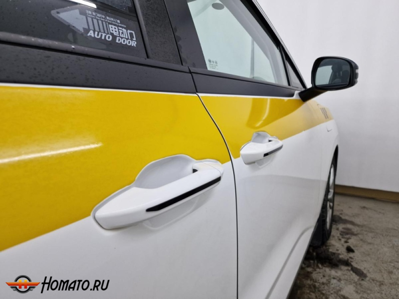 Накладки на ручки дверей для FAW Bestune NAT | 4 штуки, декор