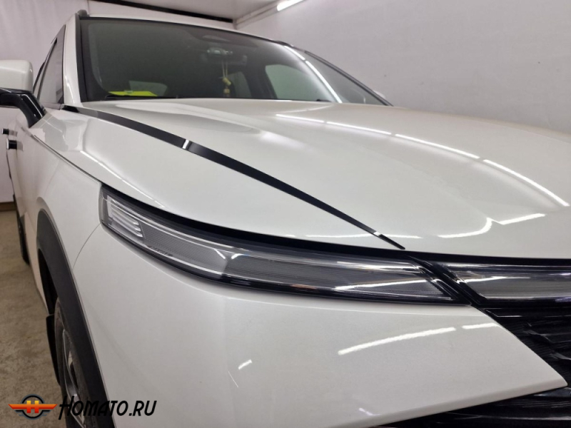Накладки на капот для Хавал Ф7 2 2024+ | 2 штуки, декор