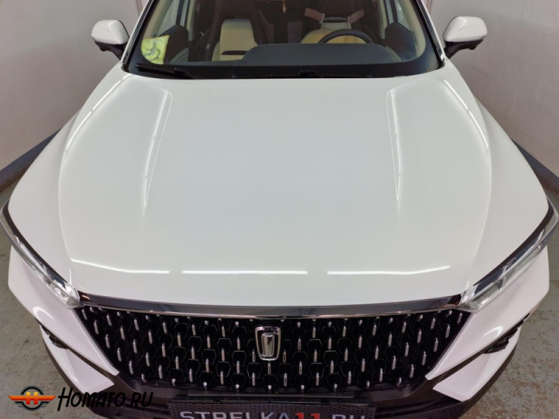 Накладки на фары для FAW Bestune T77 | 2 штуки, декор