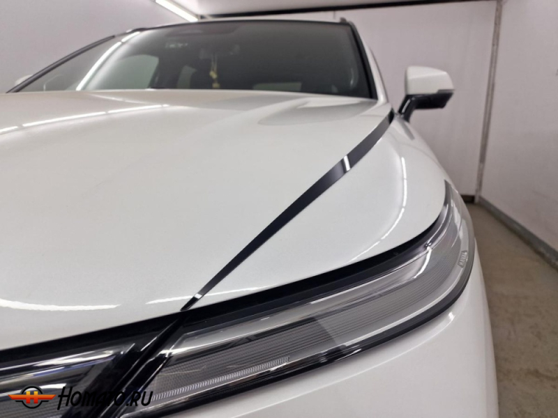 Накладки на капот для Хавал Ф7 2 2024+ | 2 штуки, декор