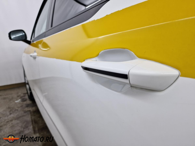 Накладки на ручки дверей для FAW Bestune NAT | 4 штуки, декор