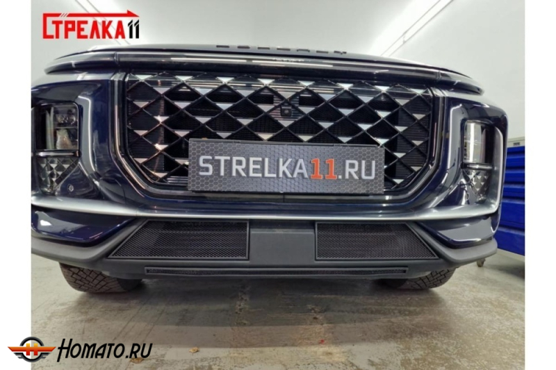 Защита радиатора для Soueast S09 2024+ | Стандарт