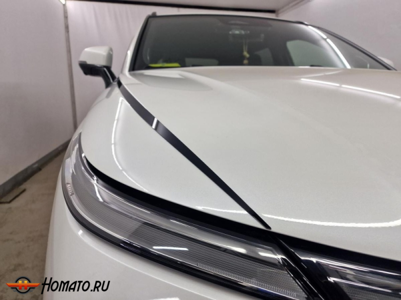 Накладки на капот для Хавал Ф7Х 2 2024+ | 2 штуки, декор