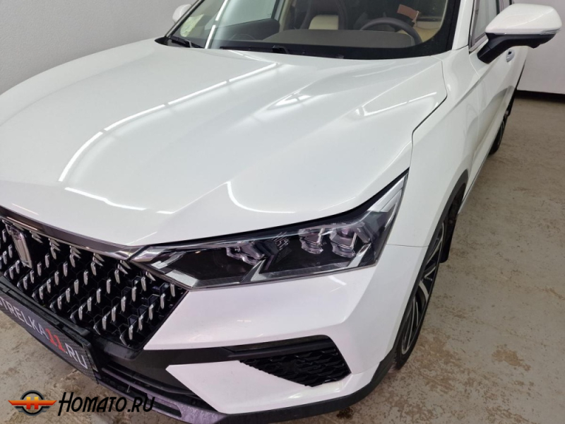 Накладки на фары для FAW Bestune T77 | 2 штуки, декор